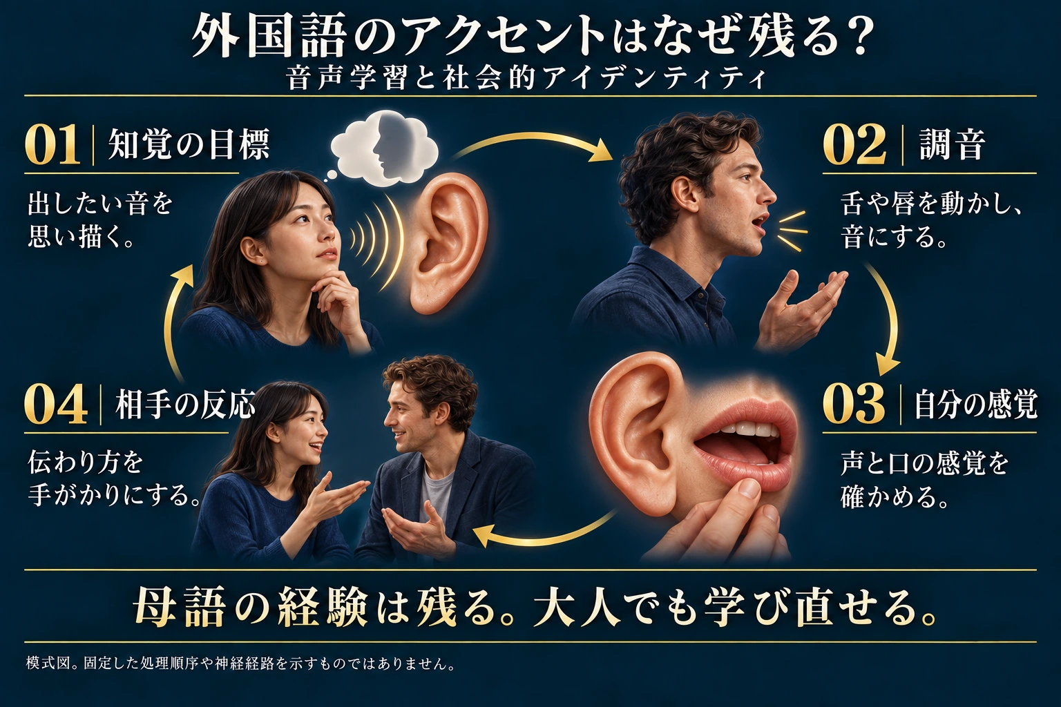 出したい音の目標、調音による産出、自分の声と口の感覚、相手の反応が学習を支える。