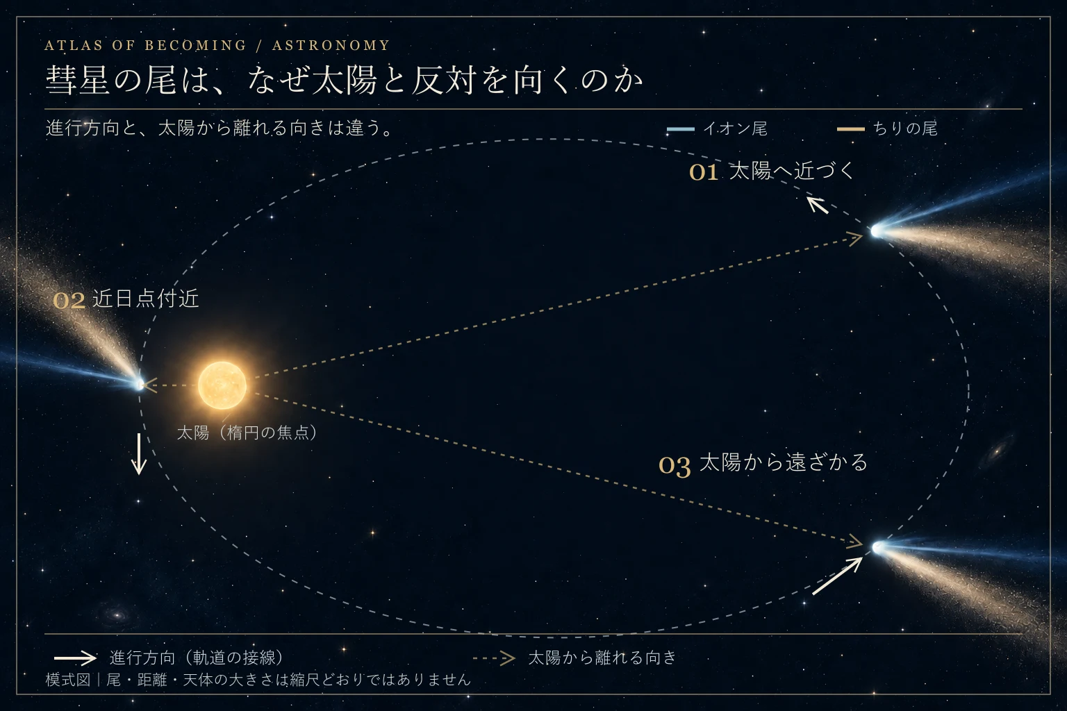 太陽を焦点にした楕円軌道上で、彗星の二種類の尾が見える向きを比べた模式図