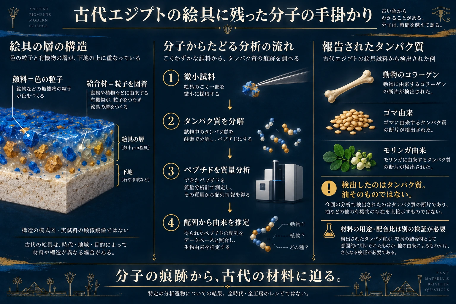 顔料粒子と有機結合材を区別する模式断面、微小試料からペプチドを質量分析する工程、報告された動物コラーゲン・ゴマ由来・モリンガ由来のタンパク質を示す。