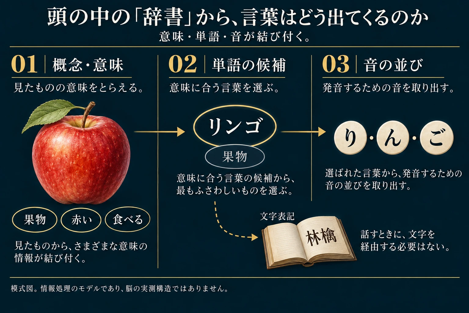 リンゴを例に、概念・意味、単語の候補、音の並びの関係を示しています。果物、赤い、食べるといった意味から言葉を選び、発音する音の並びを取り出します。