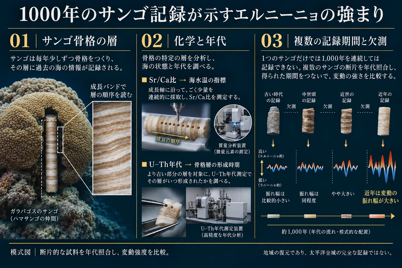 サンゴ成長層、Sr/Ca比とU–Th年代、欠測を含む複数記録期間の照合を示す図