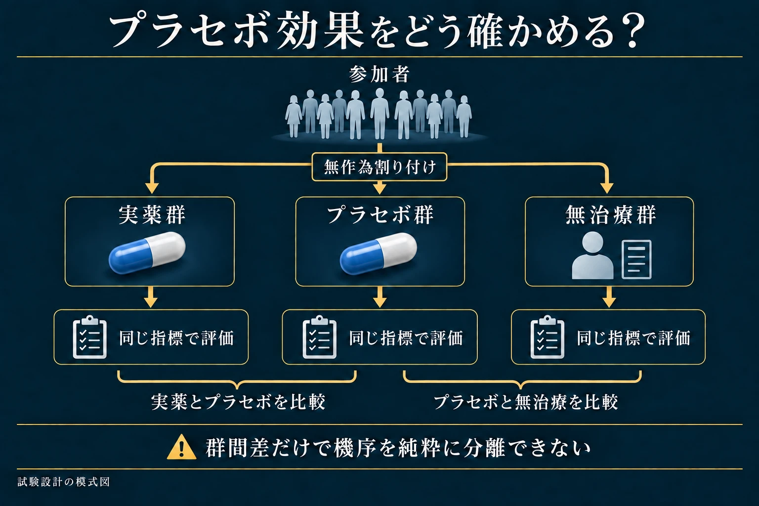 3群無作為比較の設計を示す。結果の順位は示さず、機序の単純な差分解釈を避ける。