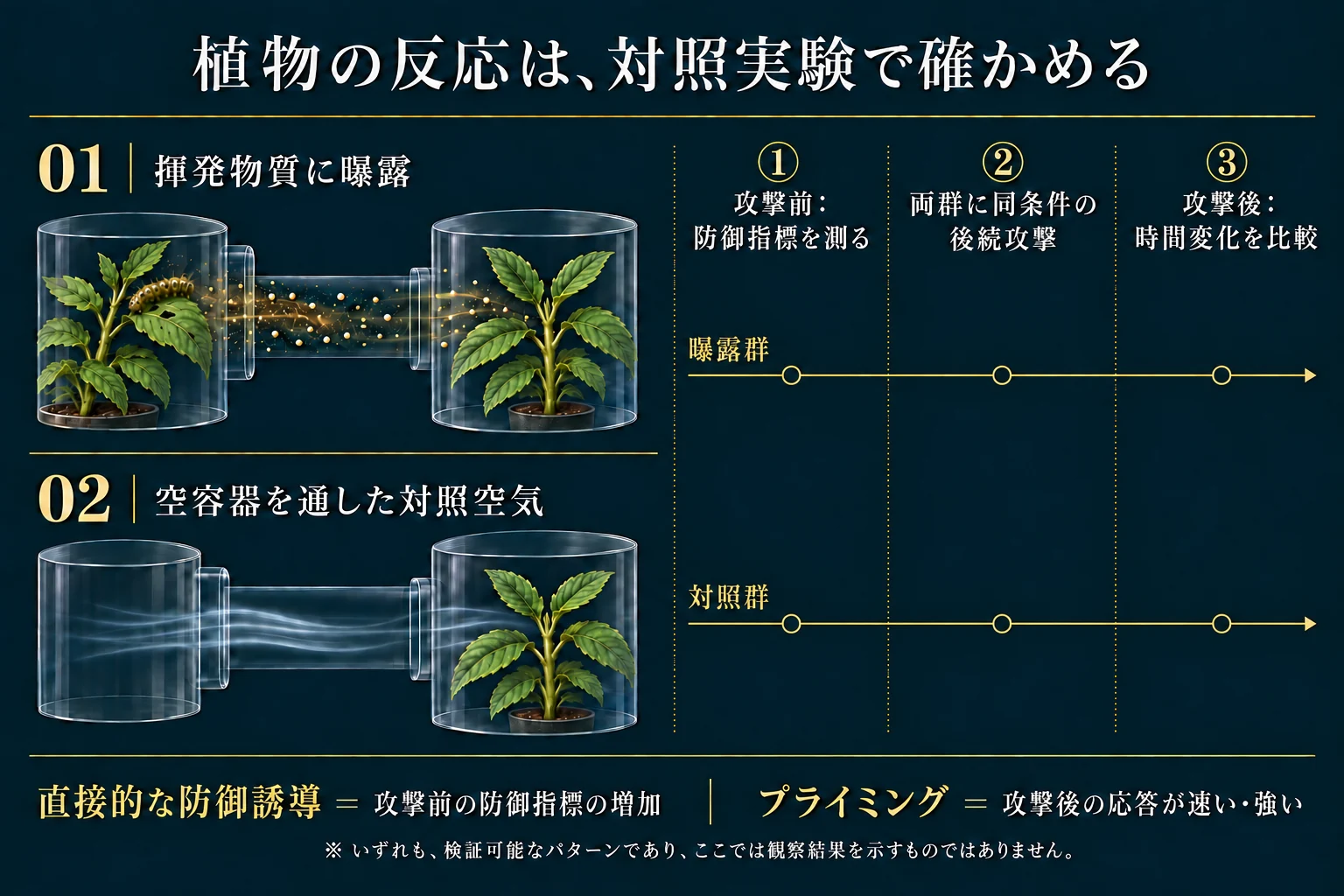 傷害株由来の空気と空容器対照を別群に送り、攻撃前後の防御応答を比較する実験模式図