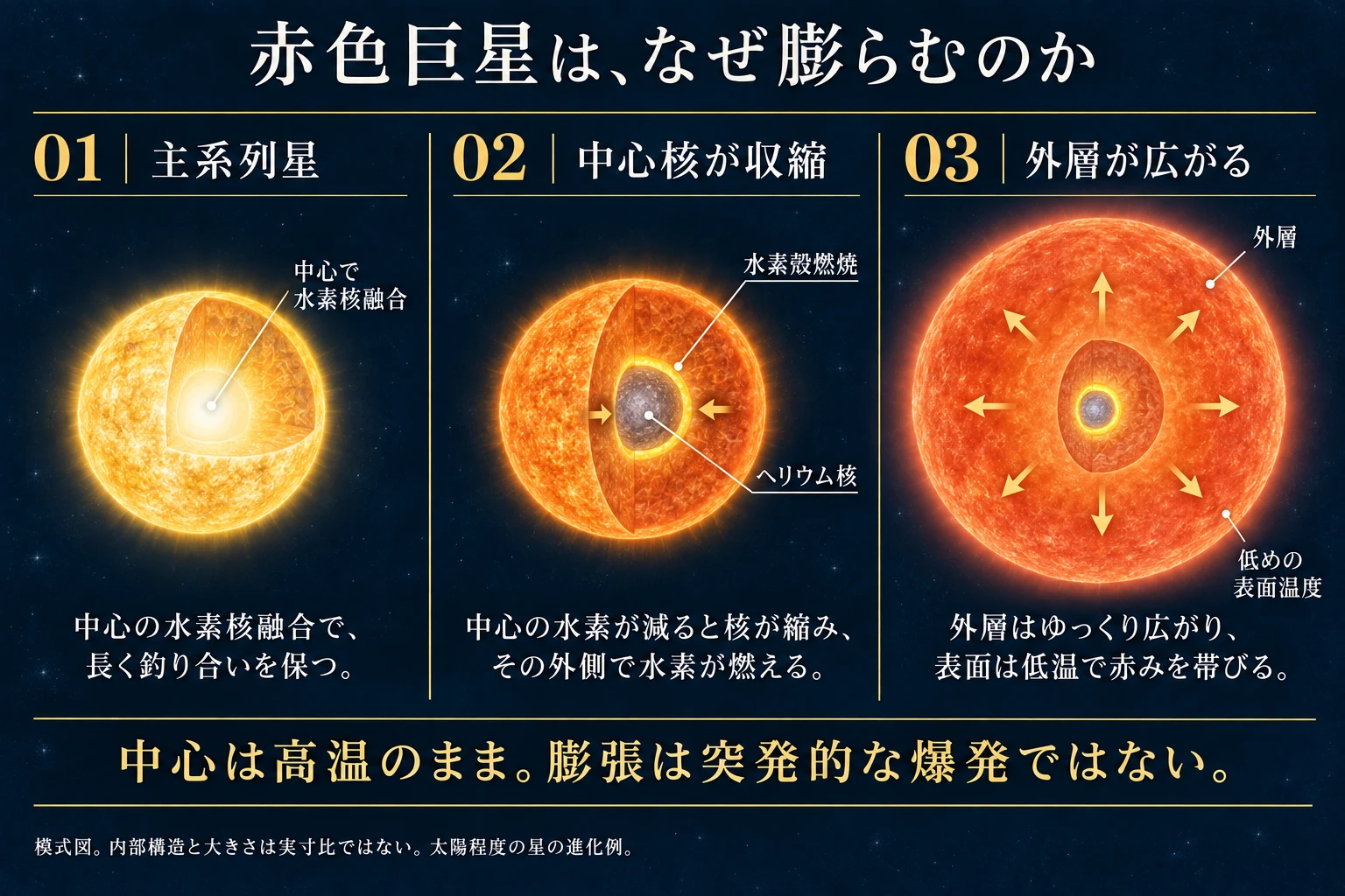 太陽程度の星の主系列段階から赤色巨星への内部構造変化。