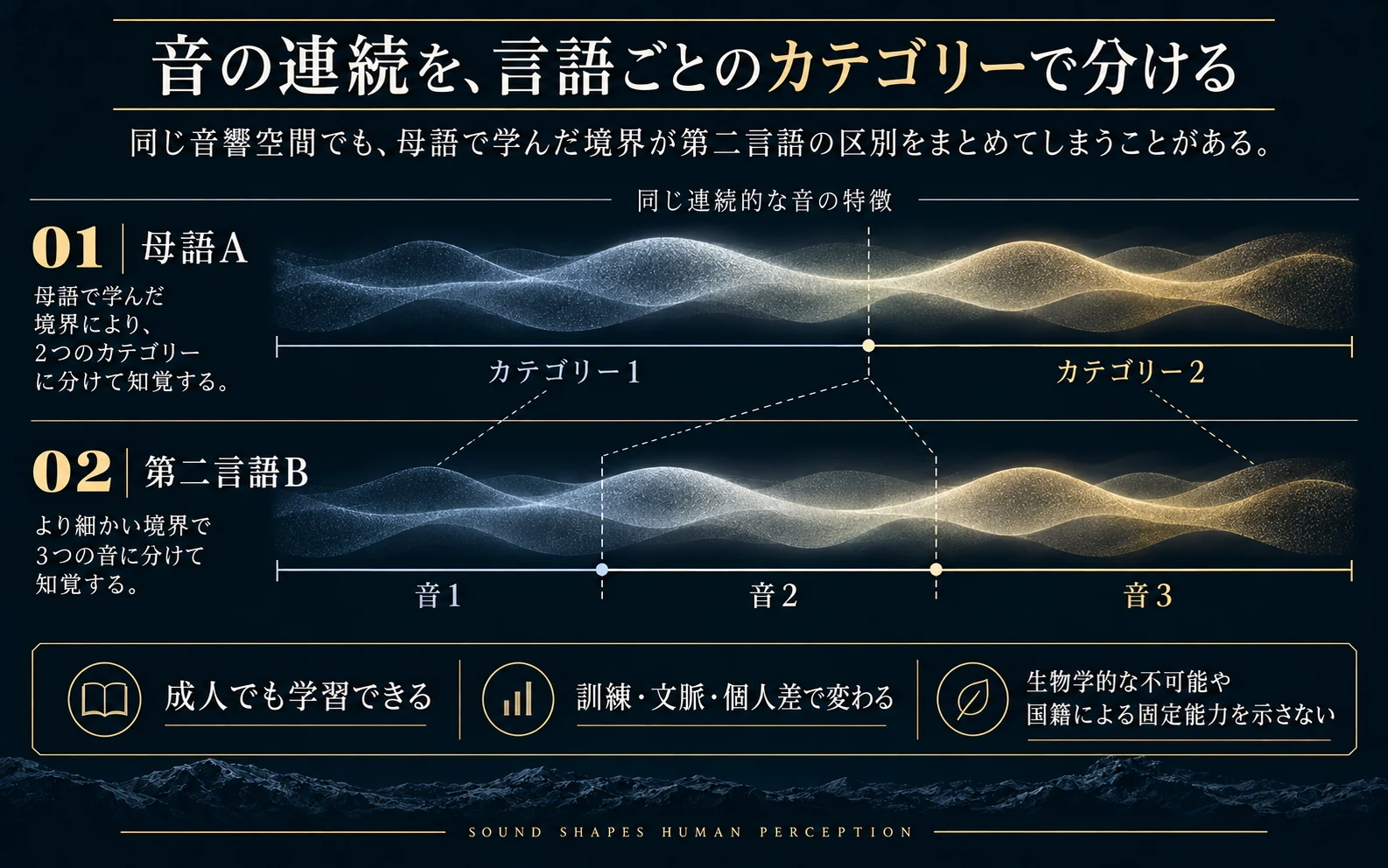 第二言語の音を聞き分ける際の注意と練習の関係を示す概念図