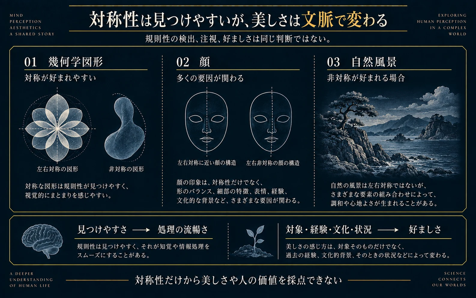 幾何学図形、顔、自然風景の3例で、対称性と好ましさの関係が一様でないことを示す概念図。顔には複数の要因が関わり、自然風景では非対称な元画像が好まれる場合がある。